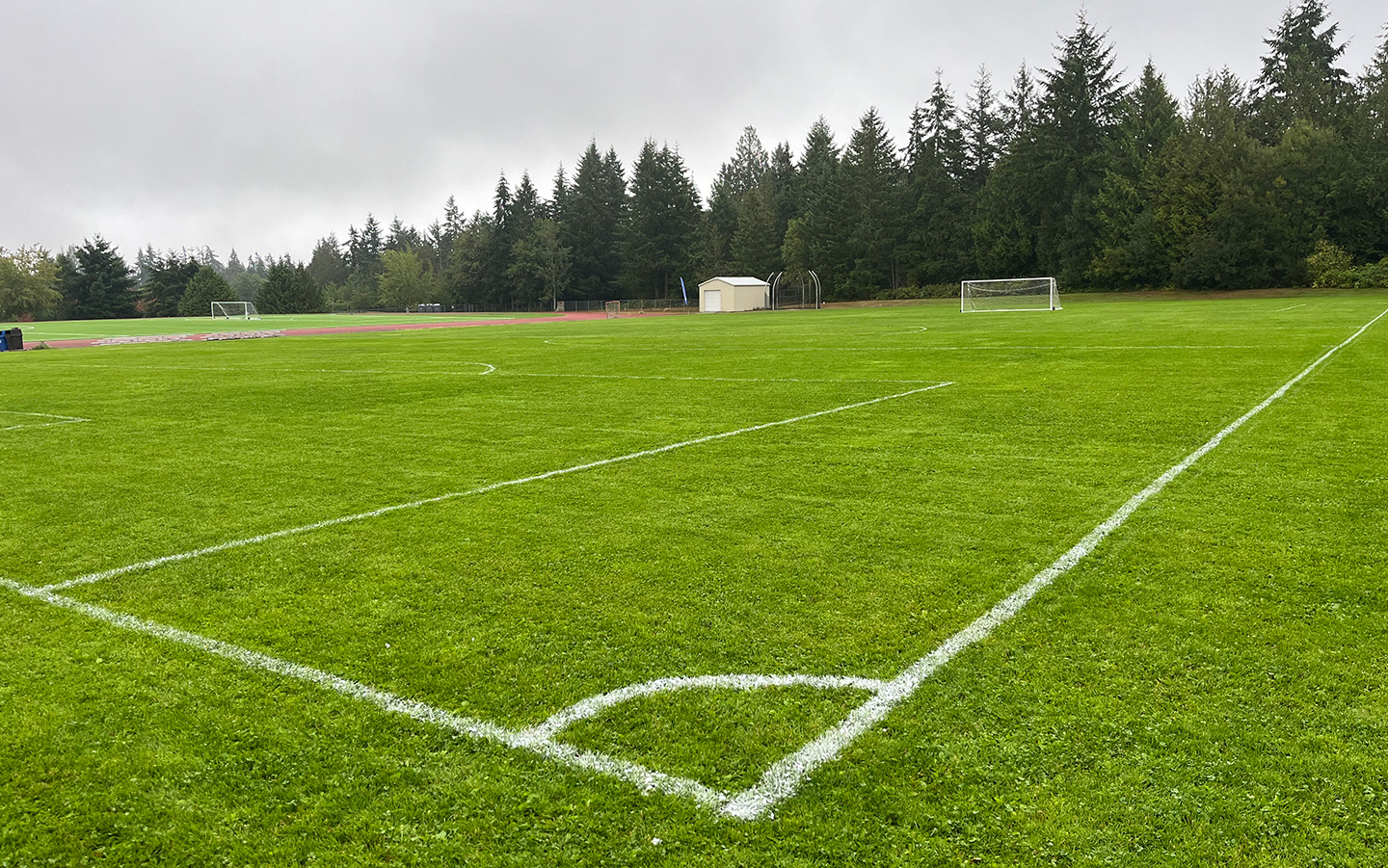 Bifc Woodward Grass
